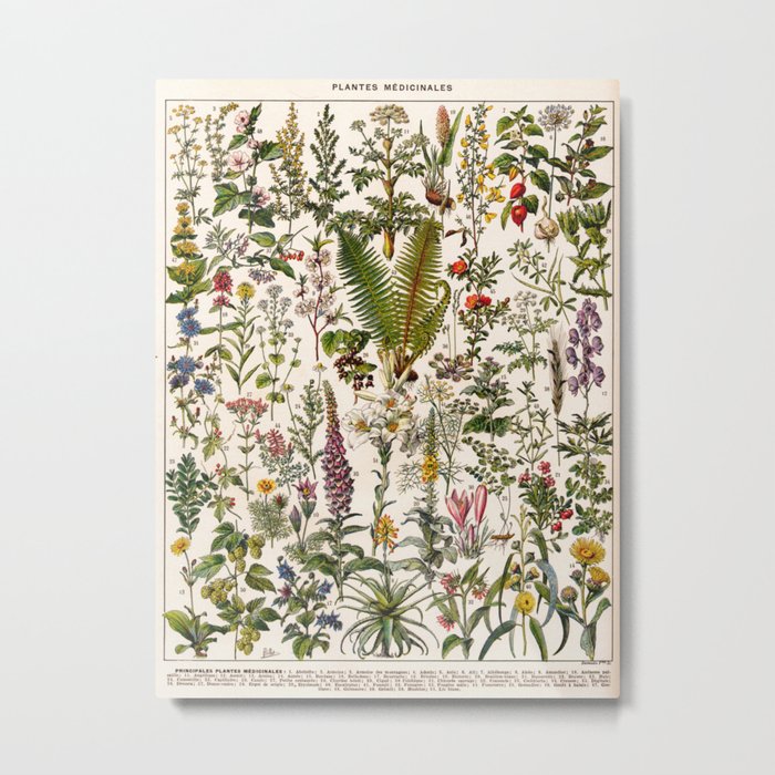 Adolphe Millot - Plantes Medicinales B - French vintage poster Metal Print