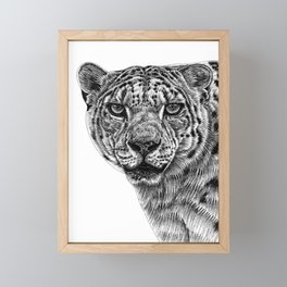 Snow leopard Framed Mini Art Print