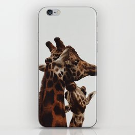 giraffe love iPhone Skin
