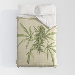 Vintage botanical print - Cannabis Comforter