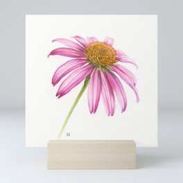 Echinacea Mini Art Print