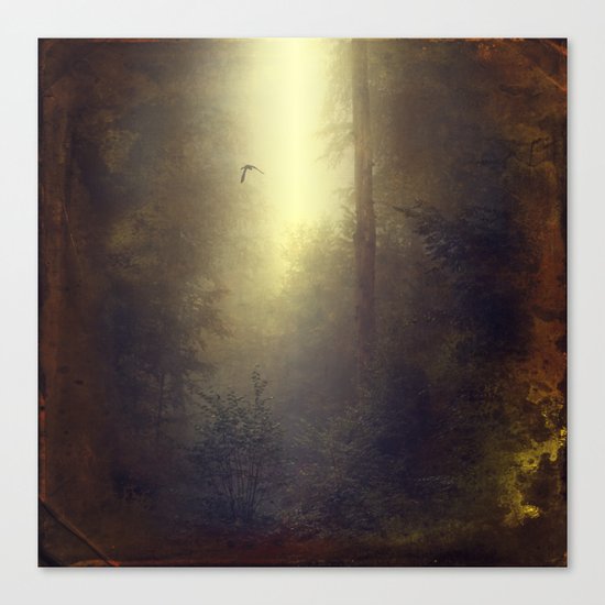 wOnderLand Canvas Print
