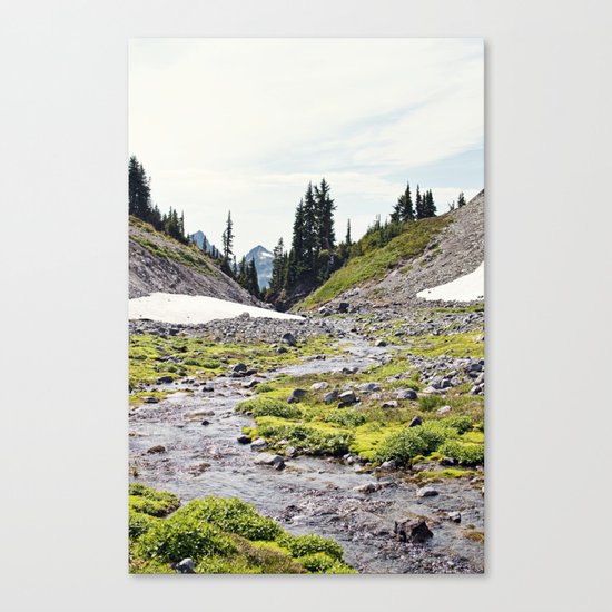 Mountain Stream Canvas Print