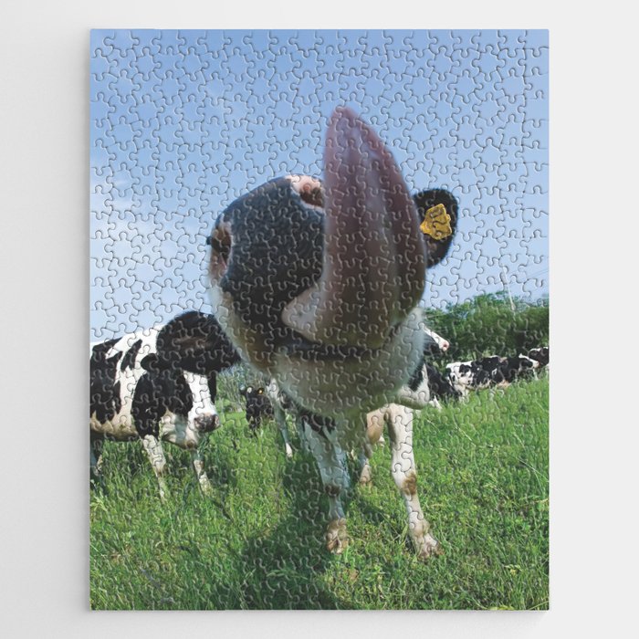 Cow Kiss Jigsaw Puzzle