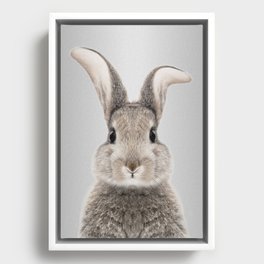 Gray Rabbit Portrait - Framed Canvas