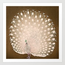 Peacock - Vintage Fantasy Bird Beige Brown Art Print
