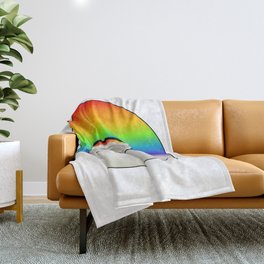 Blank CD Disc With Rainbow Throw Blanket