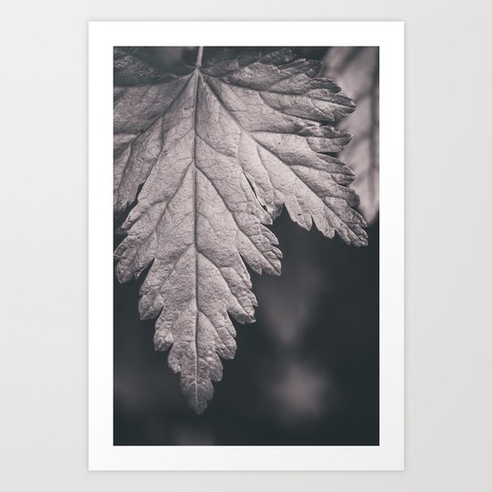 Black and White Forest Leaf Art Print