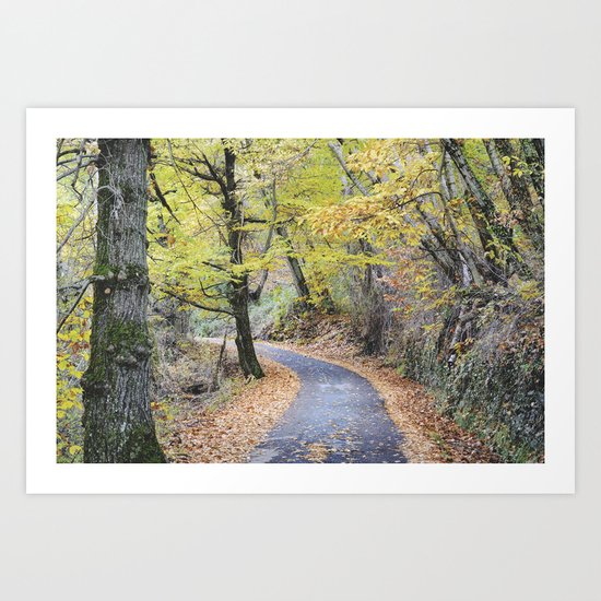 Into the autumn woods Art Print