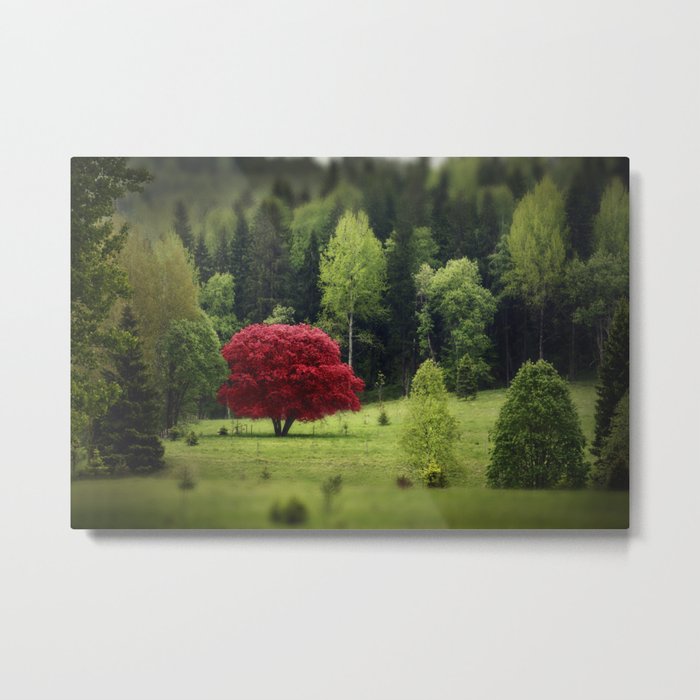 Unique red tree in a meadow of green trees Metal Print