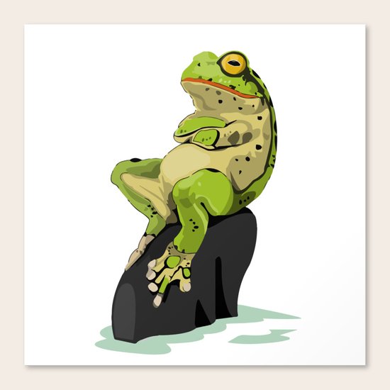 Frog Canvas Print