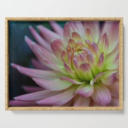 Majestic Pink And Yellow Dahlia Serving Tray