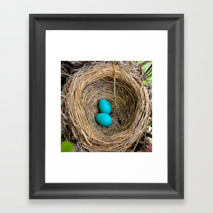 Two Little Robin's Eggs Framed Art Print