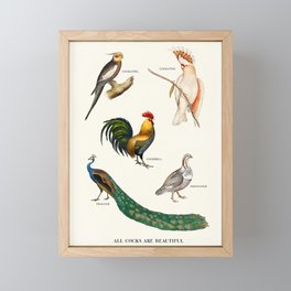 All Cocks Are Beautiful Framed Mini Art Print