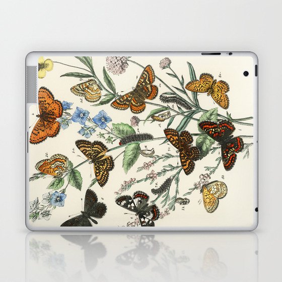 Vintage Butterfly and Moths Illustration by William Forsell Kirby 1883 Laptop & iPad Skin