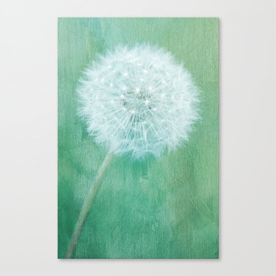 Groundsel Canvas Print