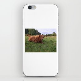 Fluffy Highland Cattle Cow 1187 iPhone Skin