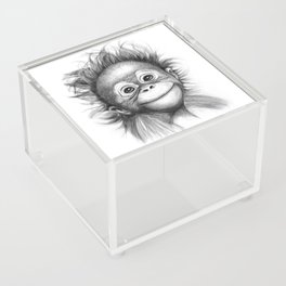 Monkey - Baby Orang outan 2016 G-121 Acrylic Box