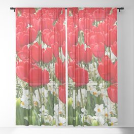 Tulips Sheer Curtain