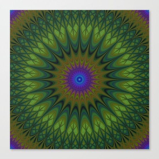Nature mandala Canvas Print