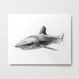 Shark I Metal Print
