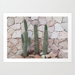 Cacti Geo Dream #1 #tropical #wall #art #society6 Art Print
