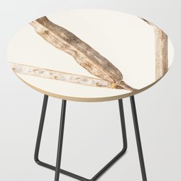 photo of a dry plant Side Table