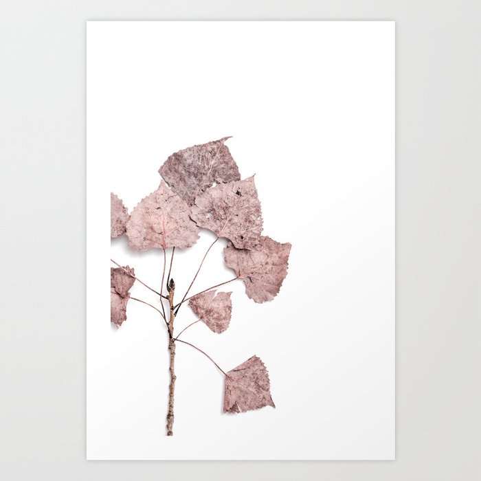 Fall Leaves - Blush Pink Art Print