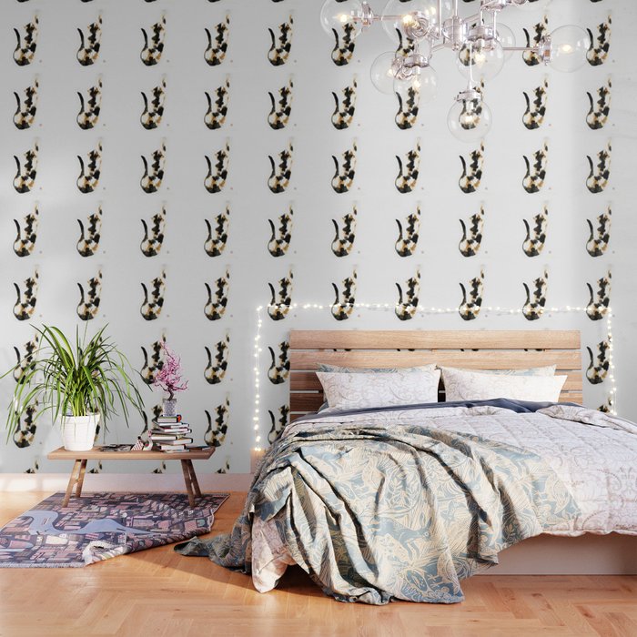 Calico cat Wallpaper
