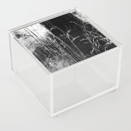 Long Grass Close Up in the Scottish Highlands in Black and white Acrylic Box