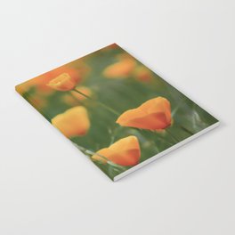 California Poppy Flowers Notebook