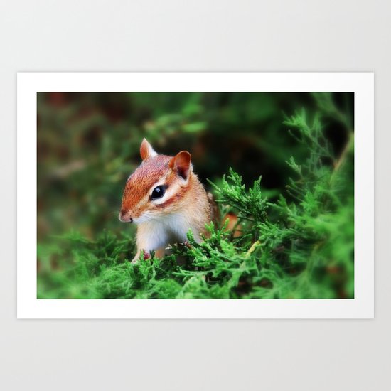 Chipmunk Art Print