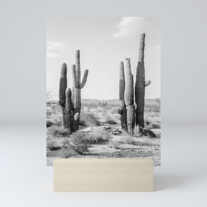 Black and White Saguaros Mini Art Print