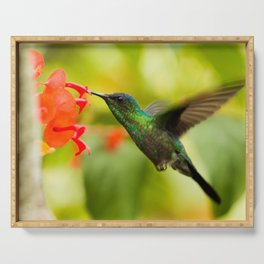 Brazil Photography - A Beautiful Green Humming Bird In Brazil Serving Tray