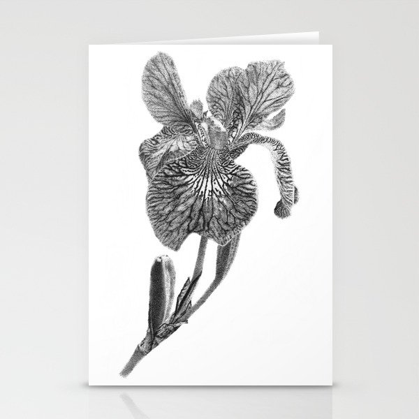 Iris Flower Stationery Cards