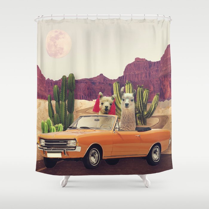 Llamas on the road 2 Shower Curtain