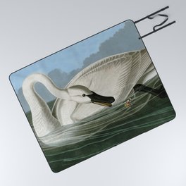 Trumpeter Swan by John James Audubon Picnic Blanket