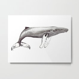 Humpback whale black and white ink ocean decor Metal Print
