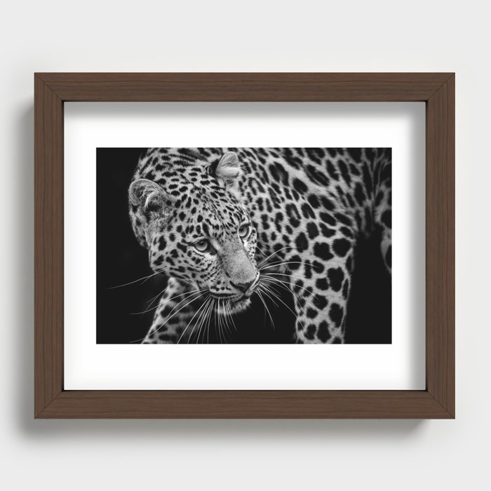 Leopard - Looking back Recessed Framed Print
