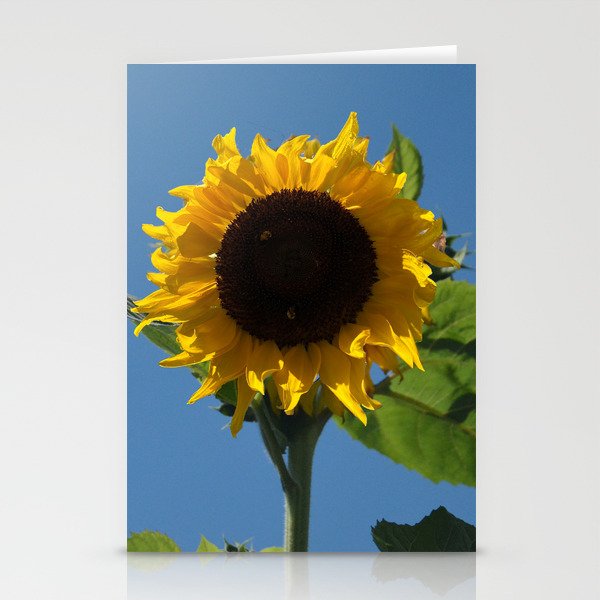 Sunflower for Ukraine - 50% of Profits to Charity Stationery Cards