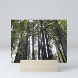 Humboldt Redwoods Mini Art Print