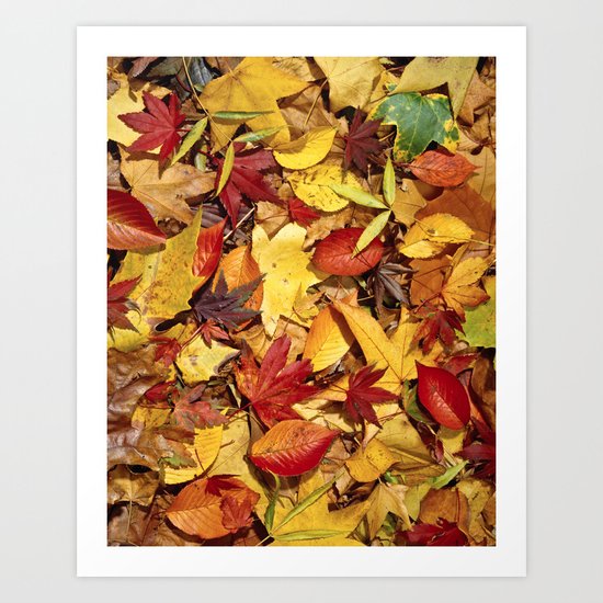 Fall Art Print