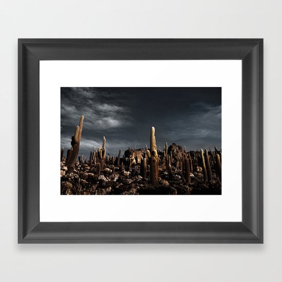 Cactus in Incahuasi island Framed Art Print