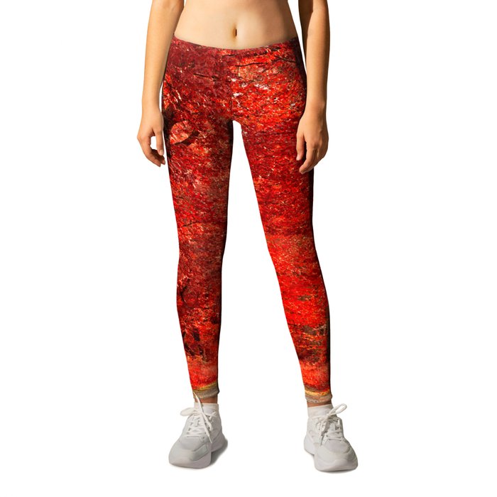 Red Forest Autumn Path Leggings