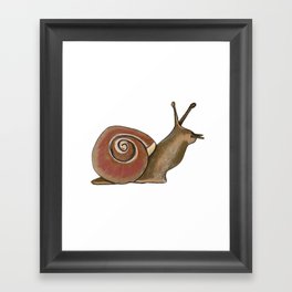 Garden Snail Framed Art Print