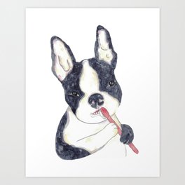 Boston terrier brushing teeth bath watercolor Art Print