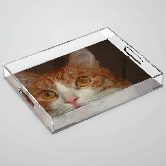 Cat addicted Acrylic Tray
