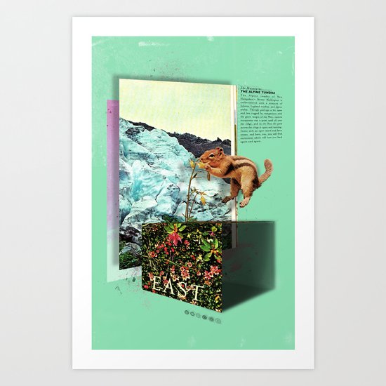 Alpine Tundra Art Print