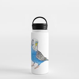 blue parakeet bird  Water Bottle