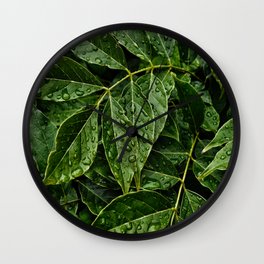 Layers Of Wet Green Leaves Water Droplets On Plant Leaves Wall Clock | Green, Layers, Photo, Macro, Color, Plant, Leaves, Water, Droplets, Wet 